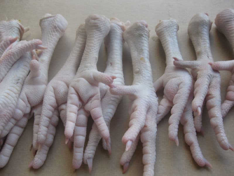 High quality Frozen Chicken feet